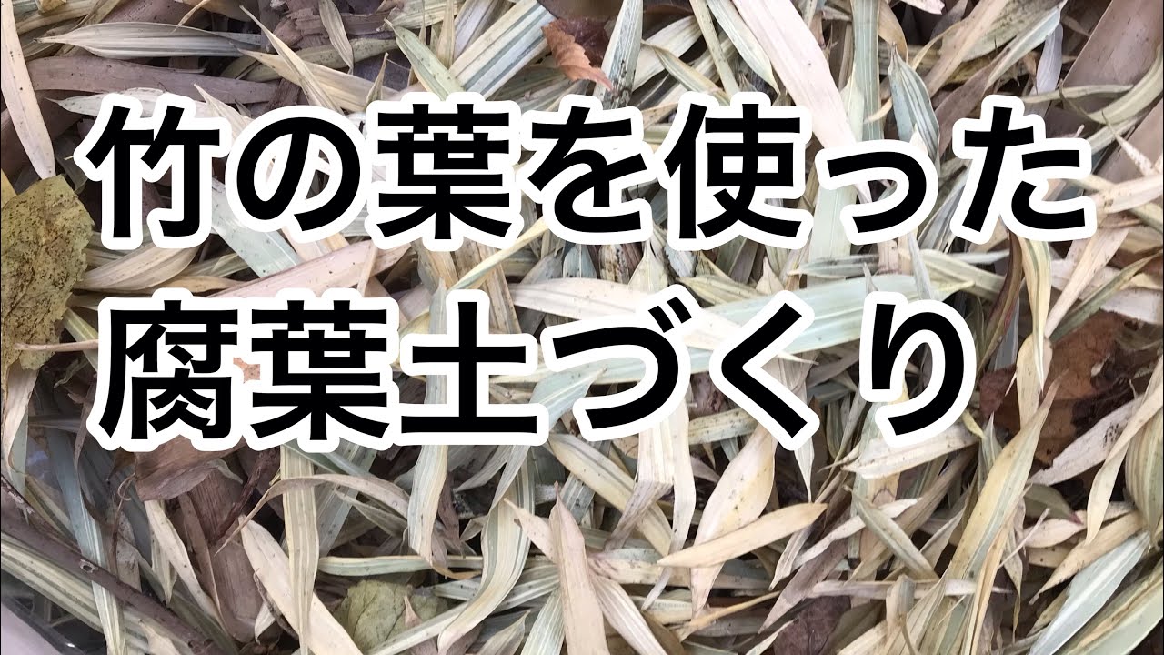 【竹の葉で腐葉土】竹で園芸支柱を作り、竹の葉で腐葉土を作ります。 - YouTube