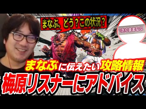 Daigo checks out a viewer's replays and offers advice 【Daigo Umehara】【clip】【SF6】