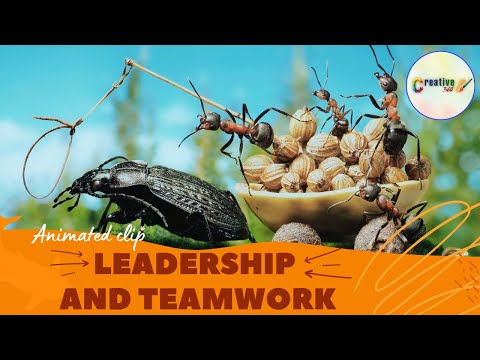 Teamwork and Leadership | Animated short clip | Creative 360 | #teamwork #leadership #motivation