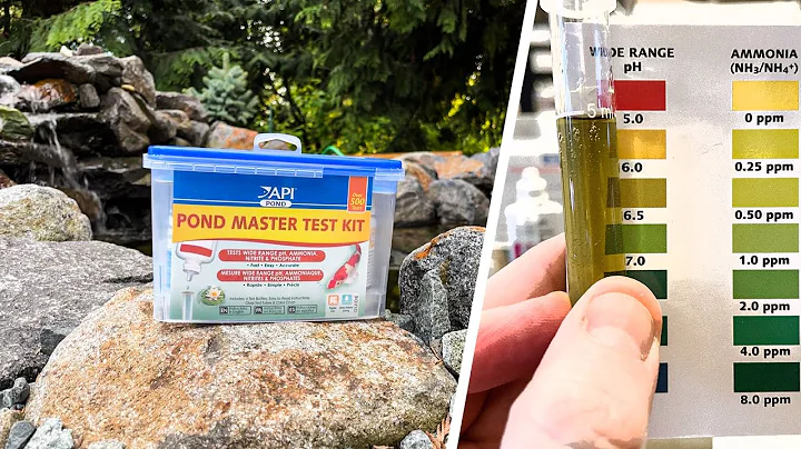 NICE but TIME CONSUMING 4-in-1 Pond Test Kit