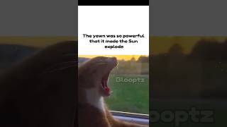 Sun Explode
