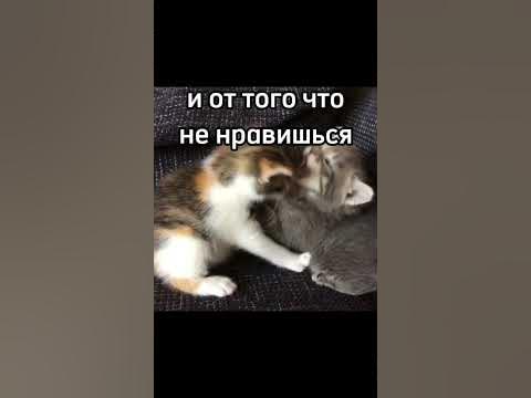 Научиться бы не париться по пустикам - YouTube