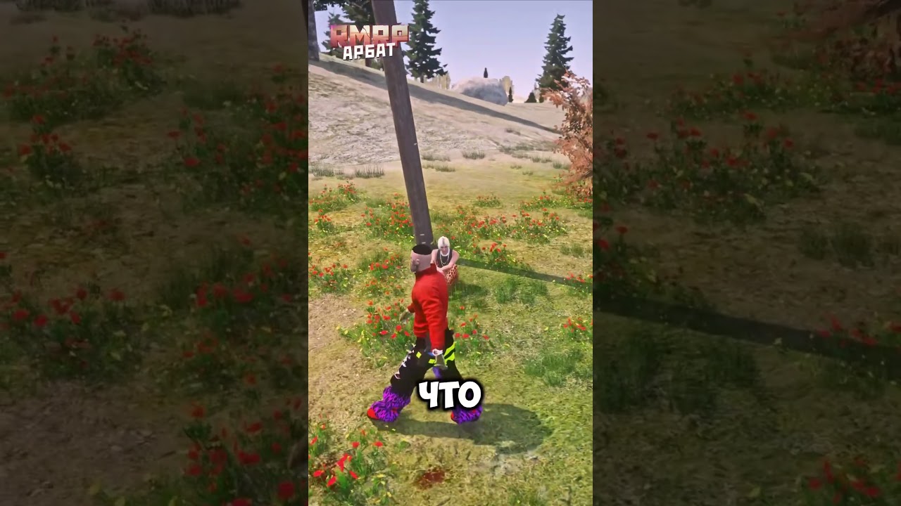 GTA5 RMRP-промо LEIX 