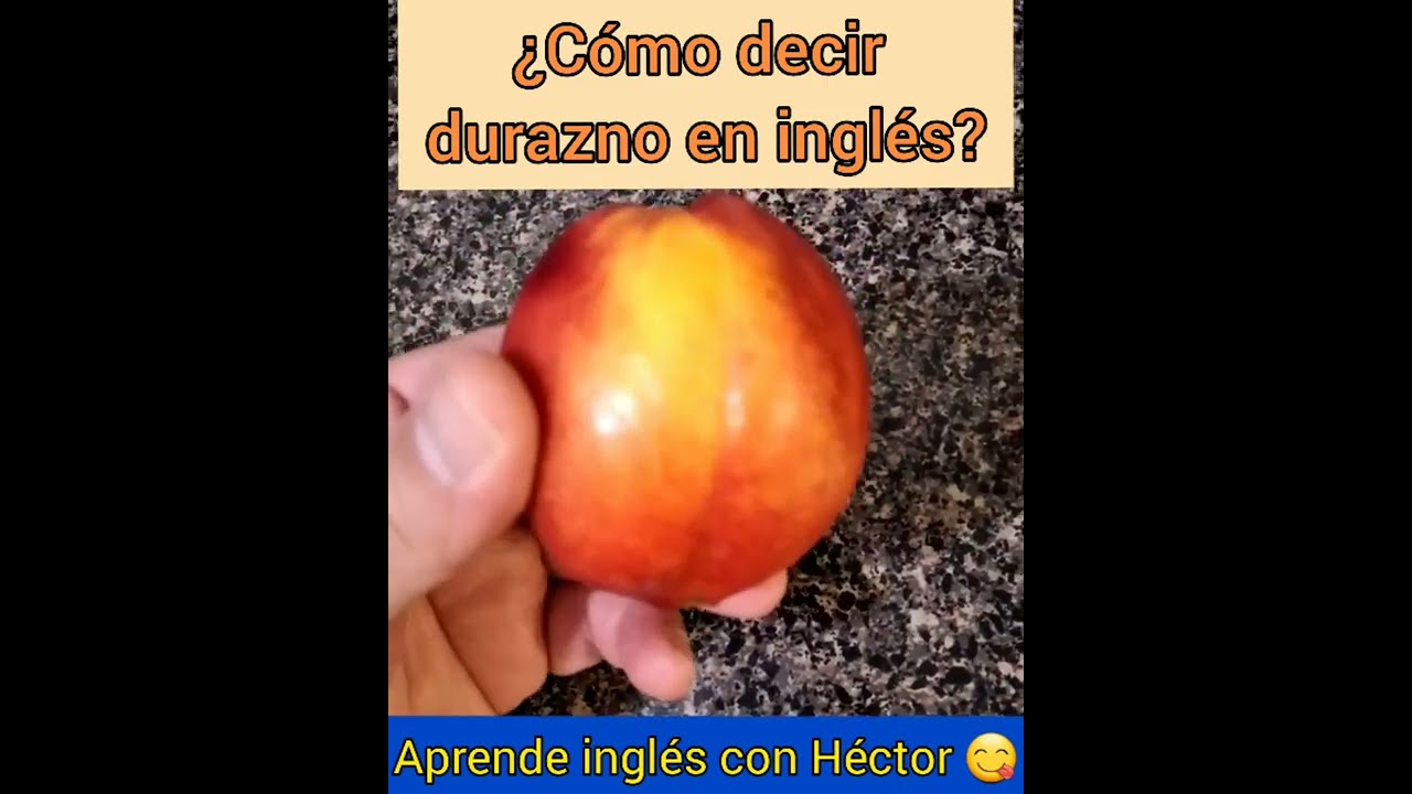 ¿Cómo decir durazno en inglés? YouTube