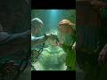 Frankenstein Movie #movie #movierecap #film #shorts #ytshorts #review #scary #scarymovies #viral