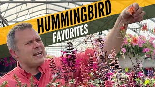 Hummingbird Favorites!