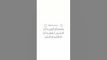 سورة المائدة ٤٧
