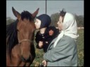 Koerner Family Slides - Spring 1957