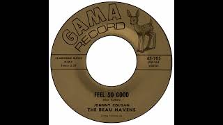 Beau Havens - Feel So Good