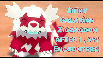 Live! Shiny Galarian Zigzagoon after 1,547 Encounters! - Pokemon Shield (Badge Quest #1)