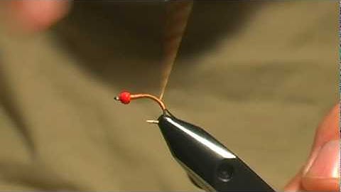 Hot Brassie - Fly Tying Lesson Video Tutorial by Curtis Fry