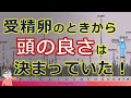 成績が遺伝で決まるなら勉強への努力は無意味?そんな議論自体が無意味なことがわかる遺伝最新事情とそれを親が知るメリット