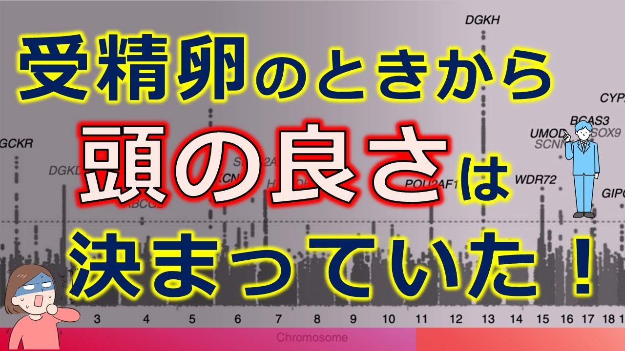 成績が遺伝で決まるなら勉強への努力は無意味？そんな議論自体が無意味なことがわかる遺伝最新事情とそれを親が知るメリット