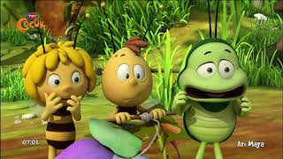 Ari Maya Dinonun Arkadaşı Yok