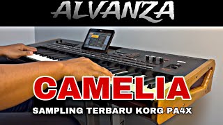 CAMELIA SAMPLING DANGDUT TERBARU KORG PA4X  VERSI MAHESA MUSIK