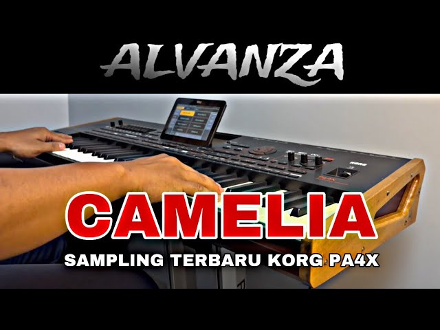 CAMELIA SAMPLING DANGDUT TERBARU KORG PA4X  VERSI MAHESA MUSIK class=