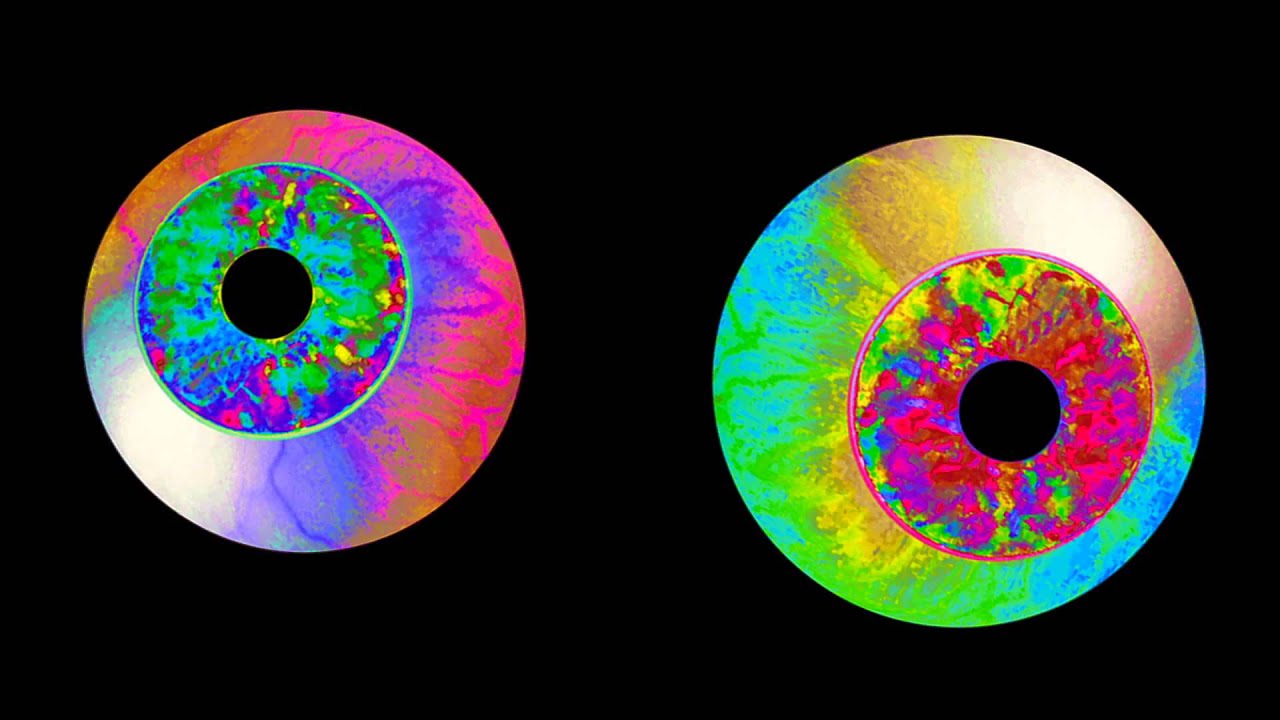 DAN LISSVIK - SHUVIT!