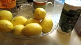 Lose 10 Pounds in 10 days with the Lemonade Diet!! 2014