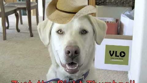 Video Thumbnail Perfection... Metacafe Video SEO