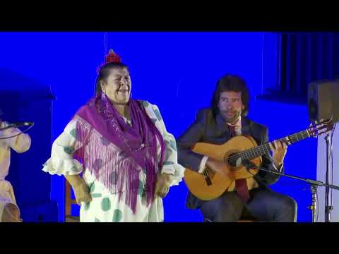LXI Festival de