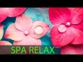 6 Heures Musique De Spa Super Relaxante Musique De Méditation Musique Massage Relaxation 594 mp3