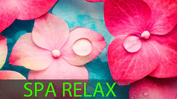 6 Hour Super Relaxing Spa Music: Meditation Music, Massage Music, Relaxation Music, Soothing ☯594