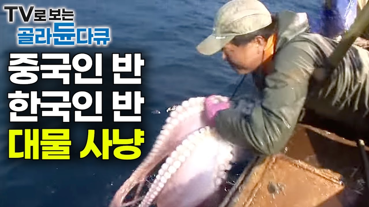 '1년 전만 해도 모두 한국인이었는데’ 한국과 일본 바다를 가르는 경계선 1마리 85만 원 72시간 대물 사냥｜23톤급 청경호 2박 3일｜만선 대왕문어잡이｜극한직업｜#골라듄다큐