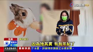 幫毛小孩留下美好回憶 攝影師功力大考驗