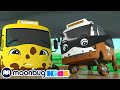 Skidding Race in Muddy Puddles - A Stormy Day! | | Go Buster By Little Baby Bum | Kids Cartoons