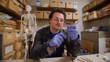 Connecting Health and Humanity as a Bluejay