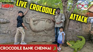 Madras crocodile bank | Chennai ECR road | live crocodile attack 🐊#musthafavlogz
