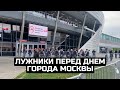 Лужники перед Днем города Москвы