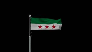 Syria 3D Flag | Seamless Animation Loop