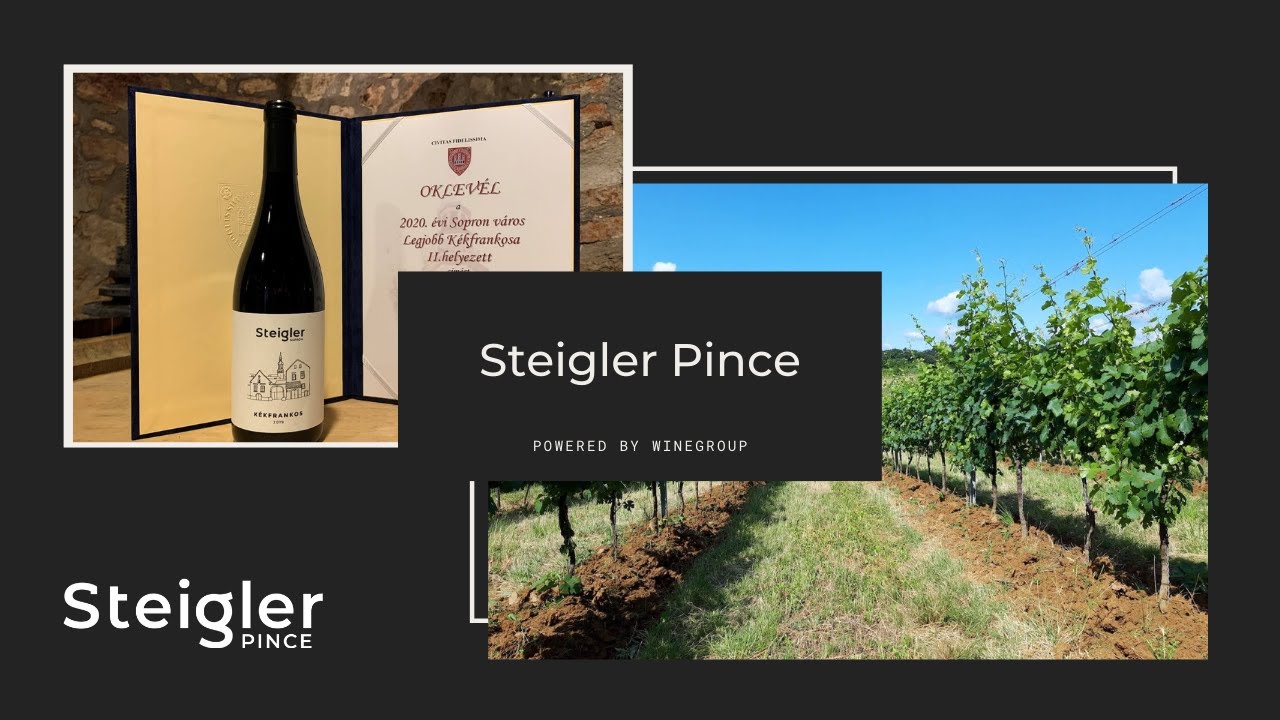 Steigler Pince, Sopron - Bemutatkozó / Powered by WineGroup