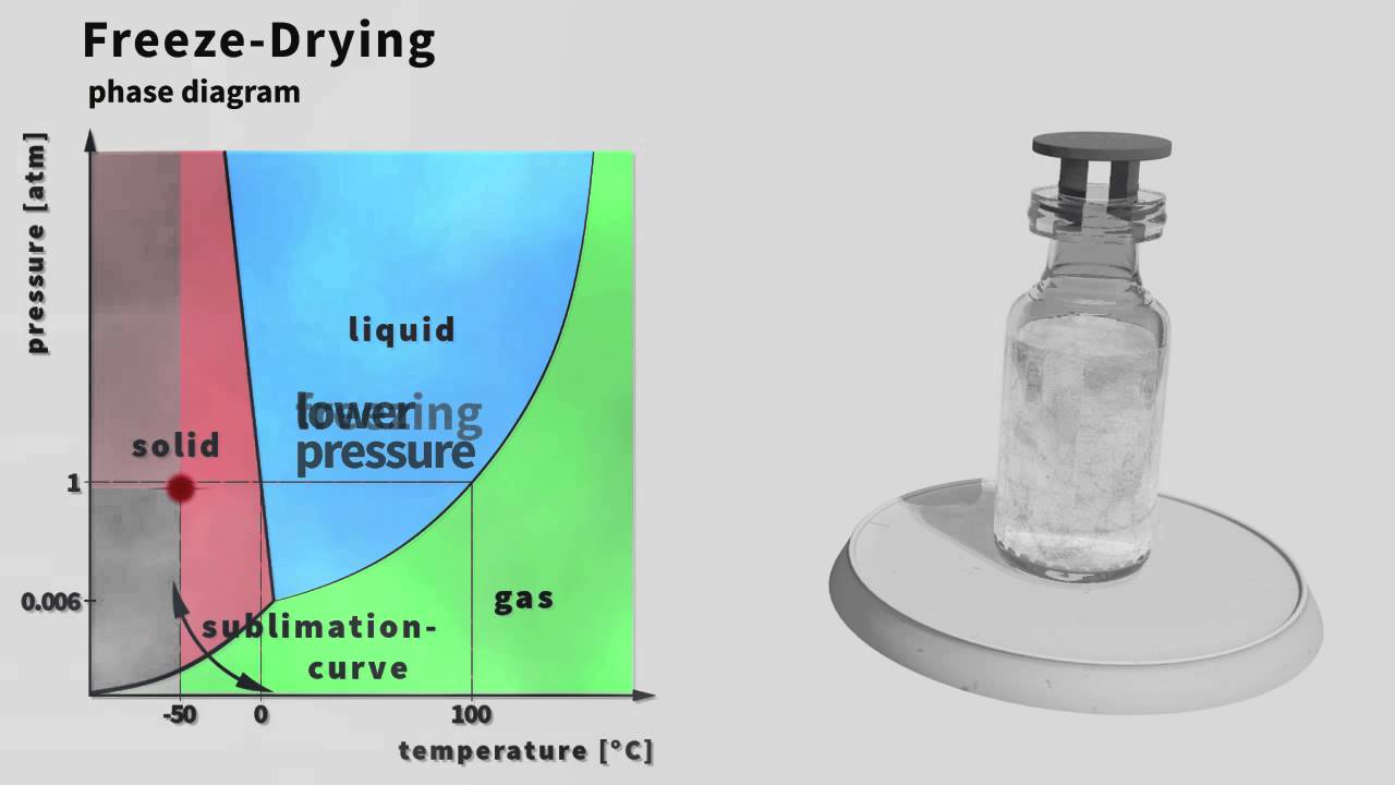 step 5 freeze drying - YouTube