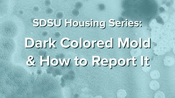 Dark Colored Mold and How to Report It - SDSU Housing Series: Part 3