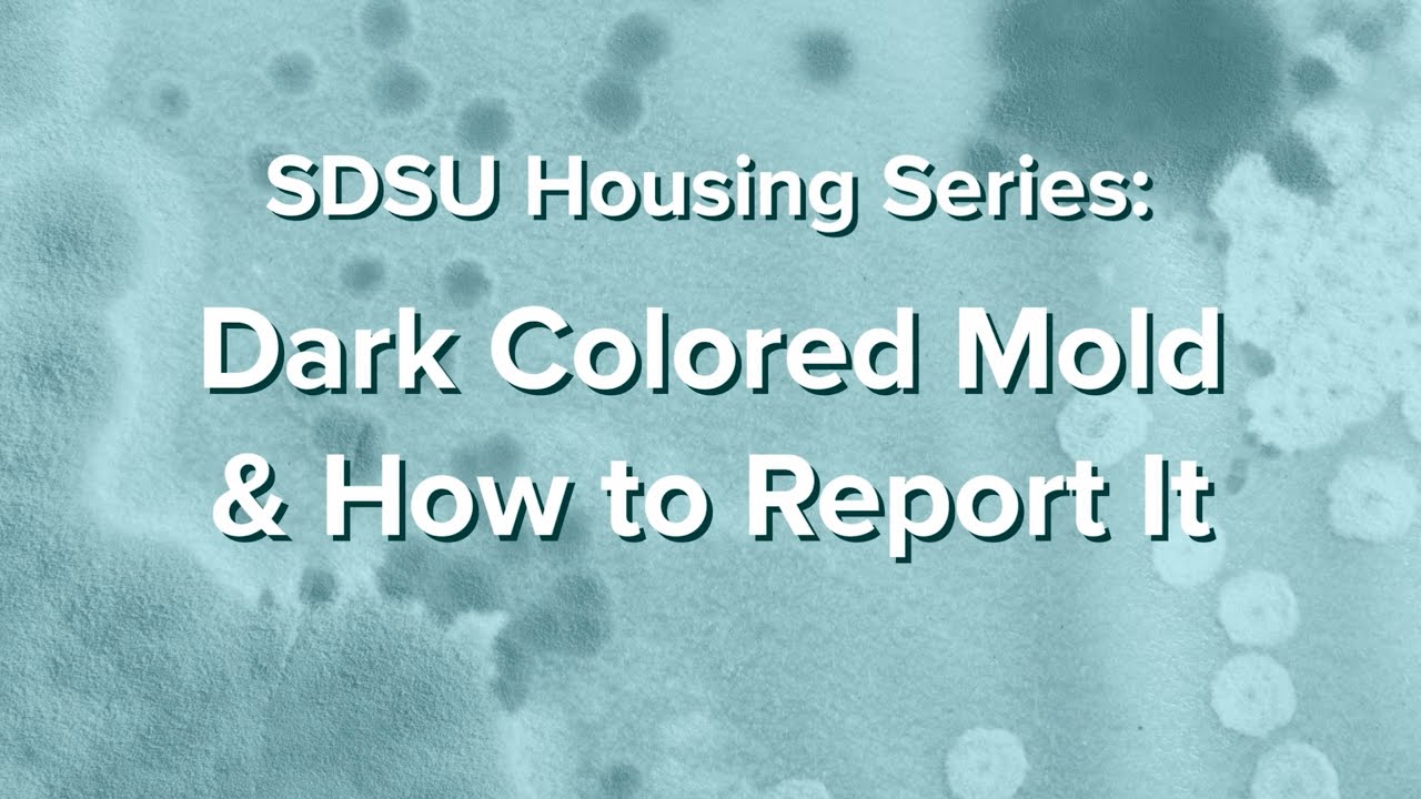 Dark Colored Mold and How to Report It - SDSU Housing Series: Part 3