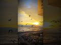 Aaine Mein Jara Khud Ko Dekho Kabhi Lyrics Status Song Ishqsong Yeishq Sad Shortsfeed Love Aaine Mein Jara Khud Ko Dekho Kabhi Lyrics Status Song Ishqsong Yeishq Sad Shortsfeed Love