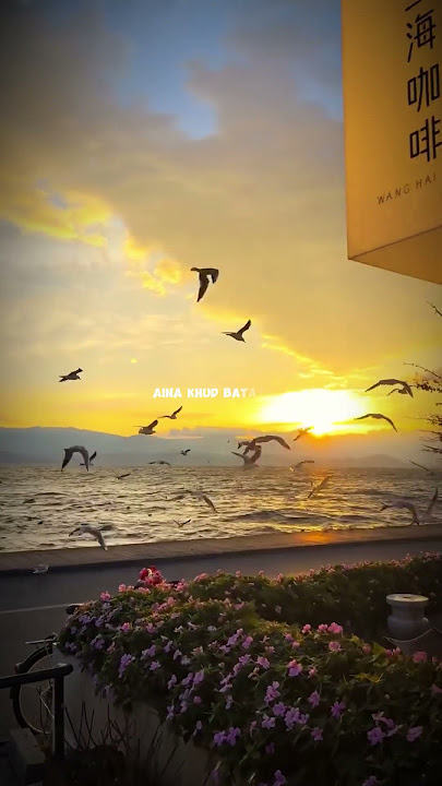 Aaine Mein Jara Khud Ko Dekho Kabhi #lyrics  #status  #song #ishqsong #yeishq #sad #shortsfeed #love