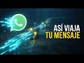 Lo Que Nadie Te Explico Sobre Internet: El Viaje de un Mensaje de WhatsApp