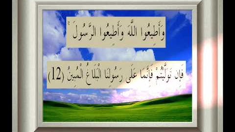 القران الكريم سورة التغابن الأية 12.wmv