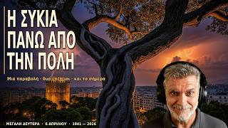 Το Κρυφό Νόημα της Συκιάς | Από την Αρχαιότητα, στην Εβδομάδα των Παθών και από το 1941 στο σήμερα
