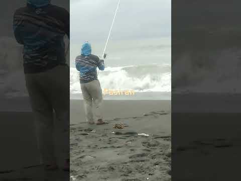 25 Desember 2024//pantai selatan jogja terkini