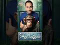 ليه القرود شبه البشر حيوانات معلومات قرود شمبانزي غوريلا