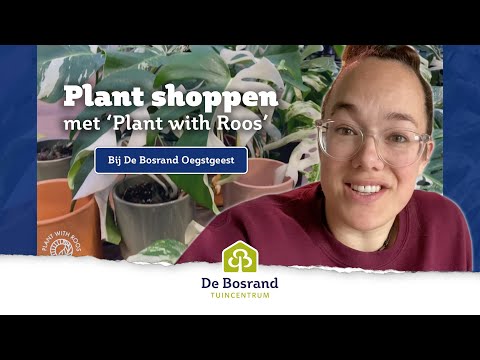 Planten shoppen met 'Plant with Roos' bij De Bosrand Oegstgeest | De Bosrand 2021