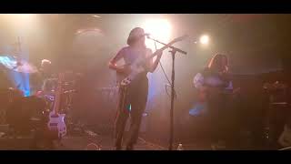 Mini Trees - Spring - Lodge Room - Highland Park, CA 6/3/2022