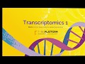 Transcriptomics 1: analyzing RNA-seq data by running bioinformatics pipelines