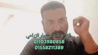 أسعار البرسيم الحجازي اليوم 18/10/2022 و تداعيات ذلك على أسعار الأراضي بيع و ايجار ...