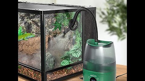REPTIZOO 4L Reptile Humidifier Fogger with Humidity Control TF04