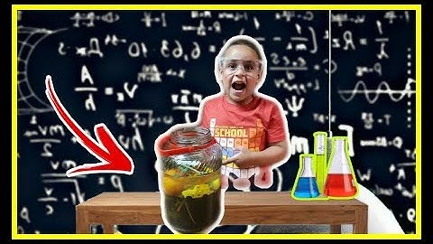 Sink or Float Density Tower Science Experiments for kids